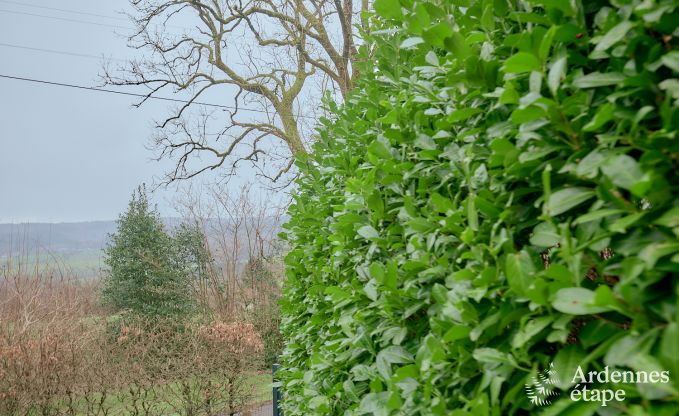Authentieke chalet voor 4 in Erez�e: ontspanning en natuur in het hart van de Ardennen