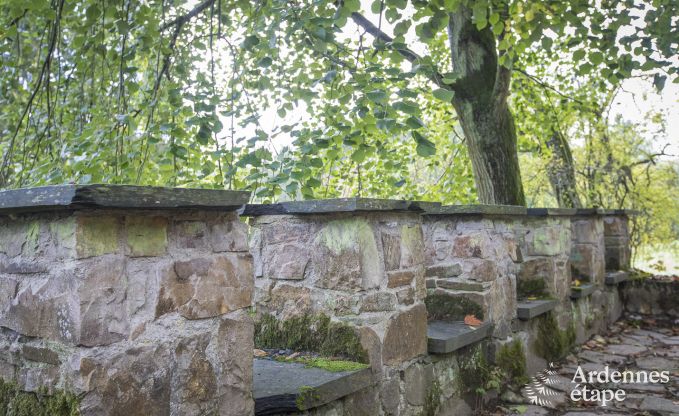 Kasteel in Erez�e voor 12/15 personen in de Ardennen