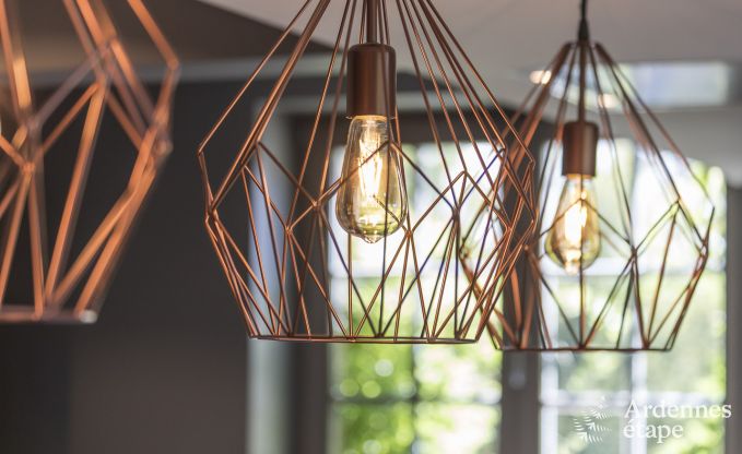 Kasteel in Erez�e voor 12/15 personen in de Ardennen