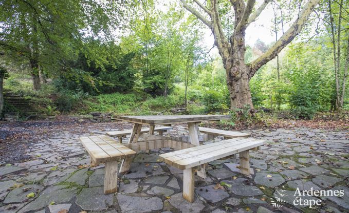 Kasteel in Erez�e voor 12/15 personen in de Ardennen