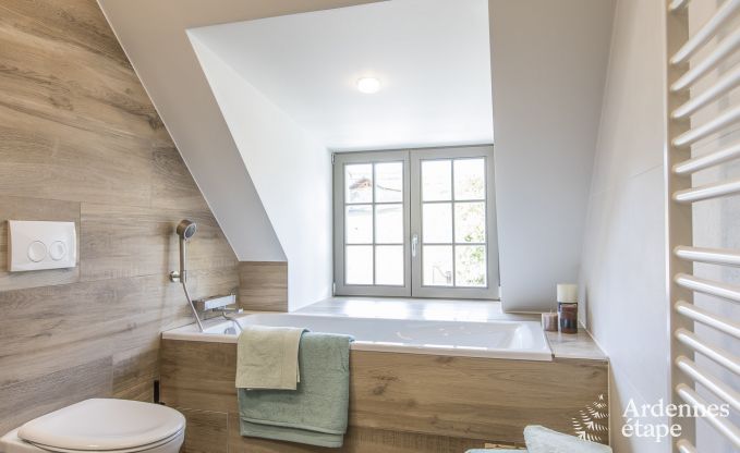 Kasteel in Erez�e voor 12/15 personen in de Ardennen