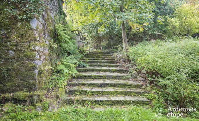 Kasteel in Erez�e voor 12/15 personen in de Ardennen