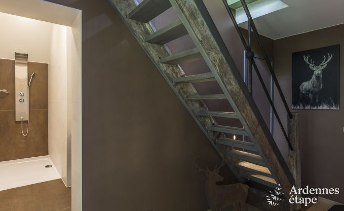 Kasteel in Erez�e voor 12/15 personen in de Ardennen