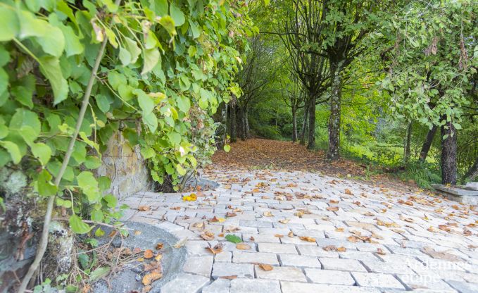 Kasteel in Erez�e voor 12/15 personen in de Ardennen