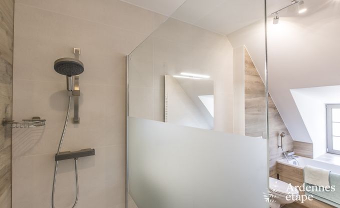 Kasteel in Erez�e voor 12/15 personen in de Ardennen