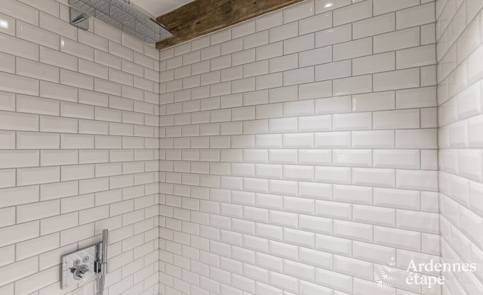 Luxe villa in Erez�e voor 25 personen in de Ardennen