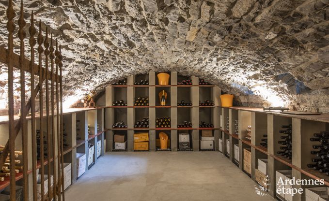 Luxe villa in Erez�e voor 25 personen in de Ardennen