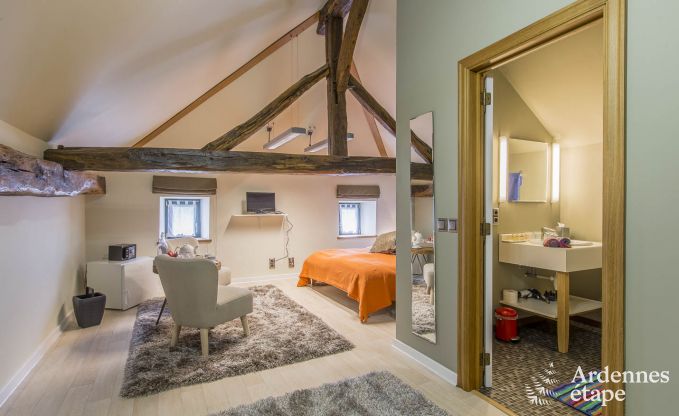 Vakantiehuis in Ereze voor 16 personen in de Ardennen