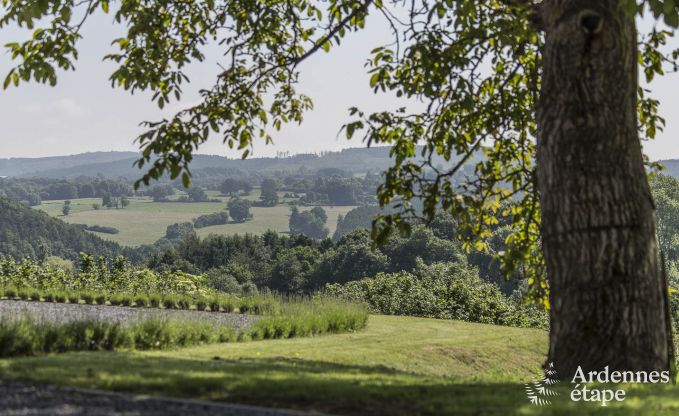 Vakantiehuis in Ereze voor 16 personen in de Ardennen