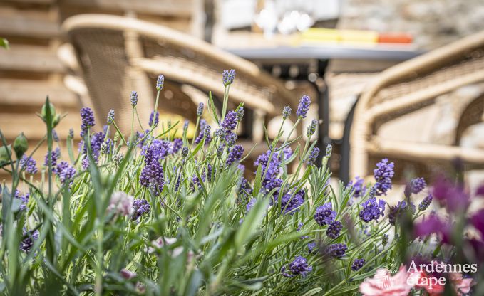 Vakantiehuis in Erez�e voor 4 personen in de Ardennen