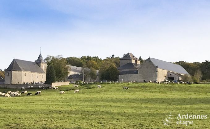 Vakantiehuis in Erez�e voor 10 personen in de Ardennen