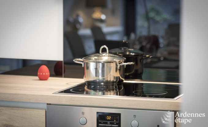 Vrijstaande vakantiewoning in reze voor 4 personen met privtuin, buitensauna en speeltoestellen