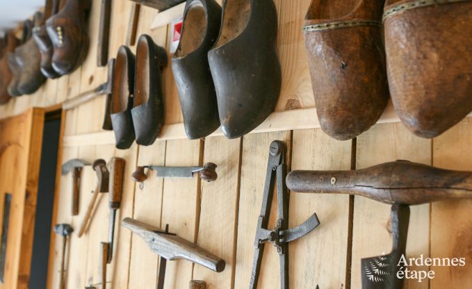 Ruime woning voor 12 personen in Ereze, 6 slaapkamers, sauna, jacuzzi, speelkamer, Ardennen