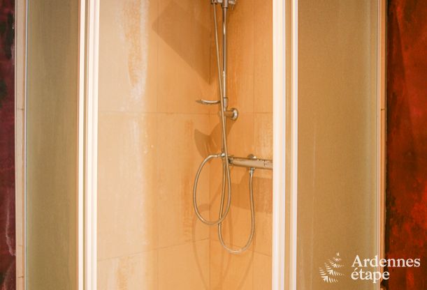 Ruime woning voor 12 personen in Ereze, 6 slaapkamers, sauna, jacuzzi, speelkamer, Ardennen