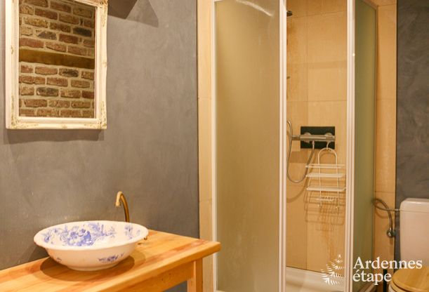 Ruime woning voor 12 personen in Ereze, 6 slaapkamers, sauna, jacuzzi, speelkamer, Ardennen