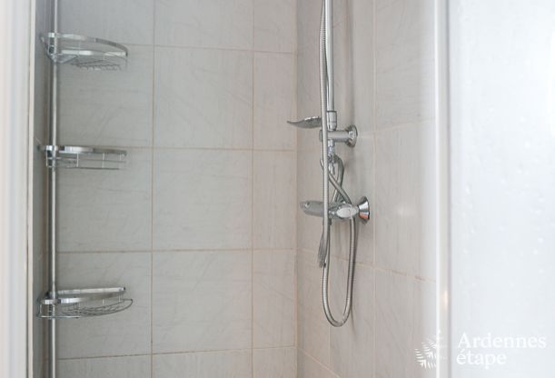 Ruime woning voor 12 personen in Ereze, 6 slaapkamers, sauna, jacuzzi, speelkamer, Ardennen