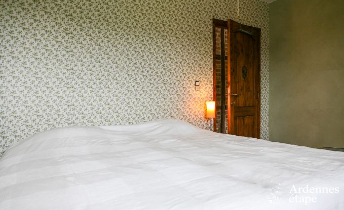 Ruime woning voor 12 personen in Ereze, 6 slaapkamers, sauna, jacuzzi, speelkamer, Ardennen