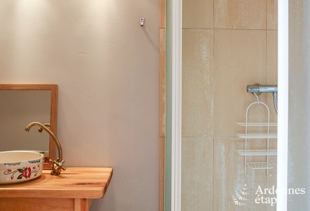 Ruime woning voor 12 personen in Ereze, 6 slaapkamers, sauna, jacuzzi, speelkamer, Ardennen