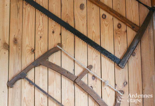 Ruime woning voor 12 personen in Ereze, 6 slaapkamers, sauna, jacuzzi, speelkamer, Ardennen