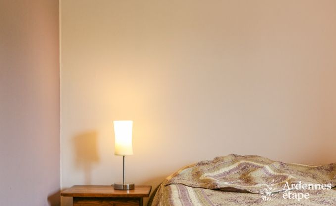 Ruime woning voor 12 personen in Ereze, 6 slaapkamers, sauna, jacuzzi, speelkamer, Ardennen