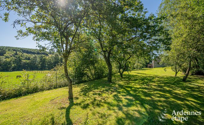 Vakantiehuis met overgedekte jacuzzi in Erez�e voor 16 personen in de Ardennen