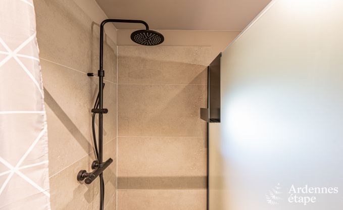 Vakantiehuis in Ereze voor 8 personen in de Ardennen