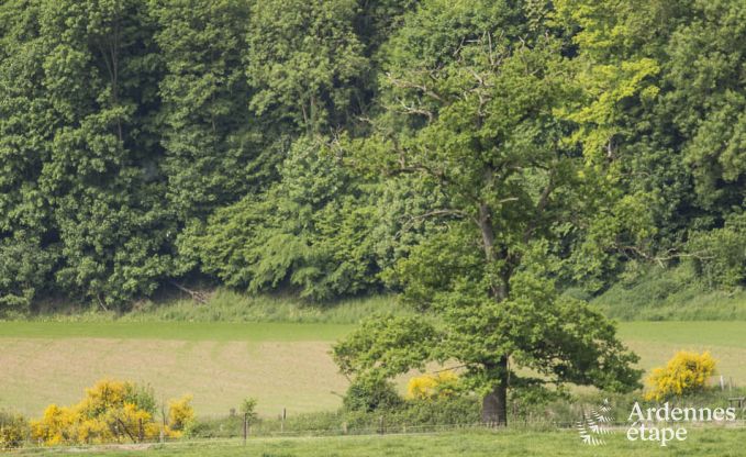 Vakantiehuis in Esneux voor 12 personen in de Ardennen