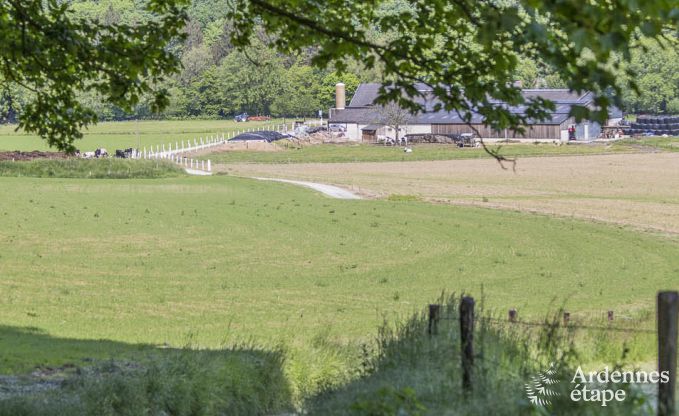 Vakantiehuis in Esneux voor 12 personen in de Ardennen