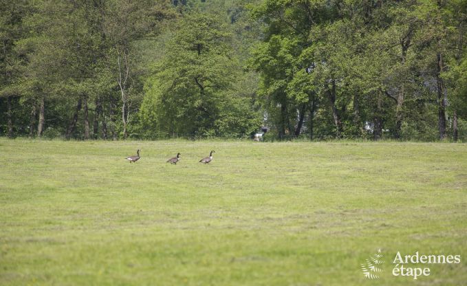 Vakantiehuis in Esneux voor 12 personen in de Ardennen