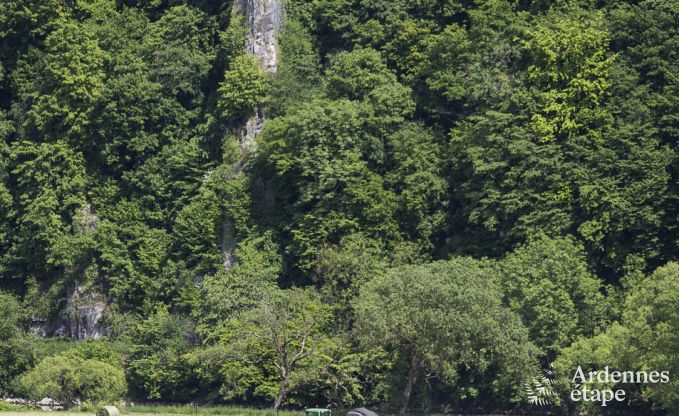 Vakantiehuis in Esneux voor 12 personen in de Ardennen