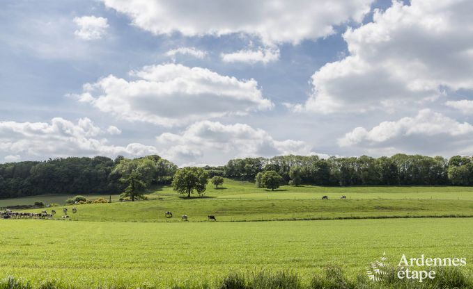 Vakantiehuis in Esneux voor 12 personen in de Ardennen