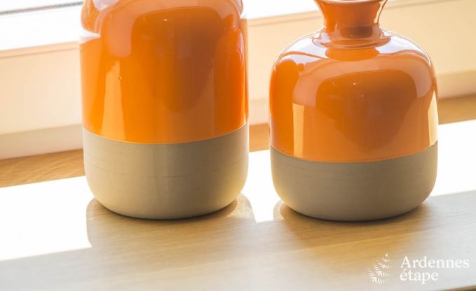 Vakantiehuis in Esneux voor 12 personen in de Ardennen