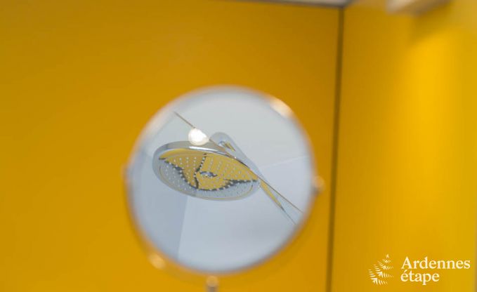 Vakantiehuis in Esneux voor 12 personen in de Ardennen