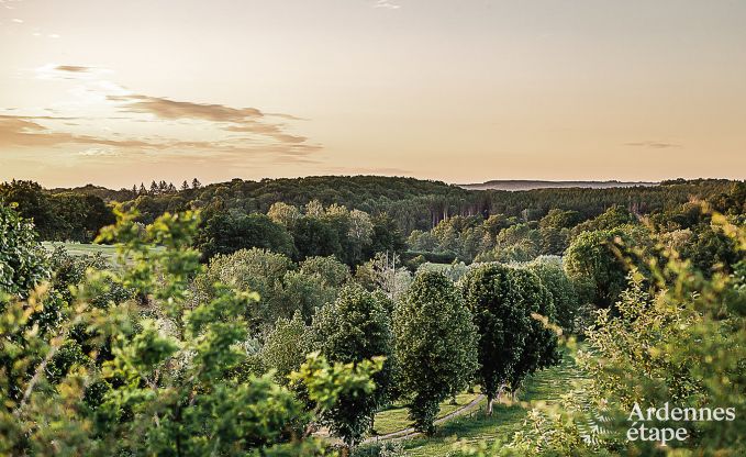 Vakantiehuis in Eupen (Lontzen) voor 15 personen in de Ardennen