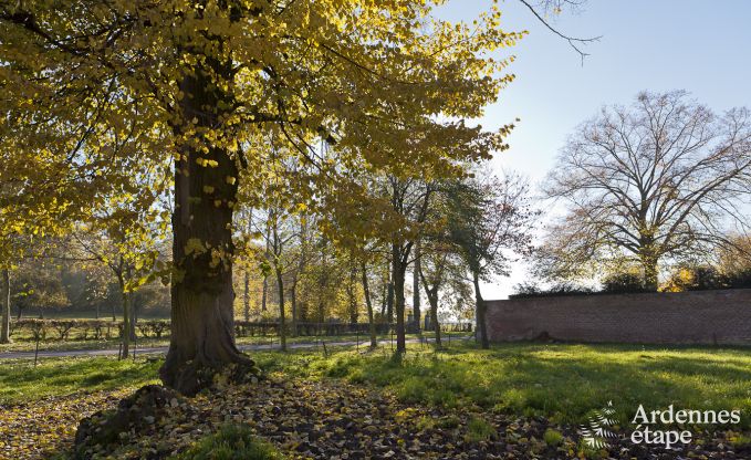 Vakantie op de boerderij in Faimes voor 6 personen in de Ardennen