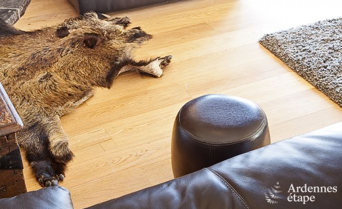 Cottage in Fala�n voor 13 personen in de Ardennen