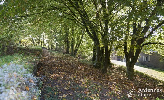 Cottage in Fala�n voor 13 personen in de Ardennen