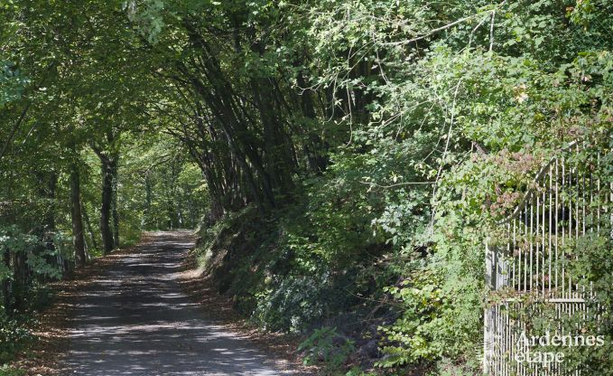 Cottage in Fala�n voor 13 personen in de Ardennen