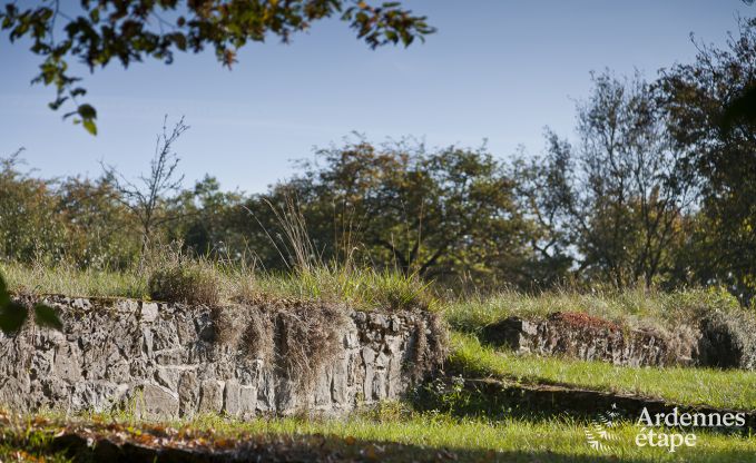 Cottage in Fala�n voor 13 personen in de Ardennen