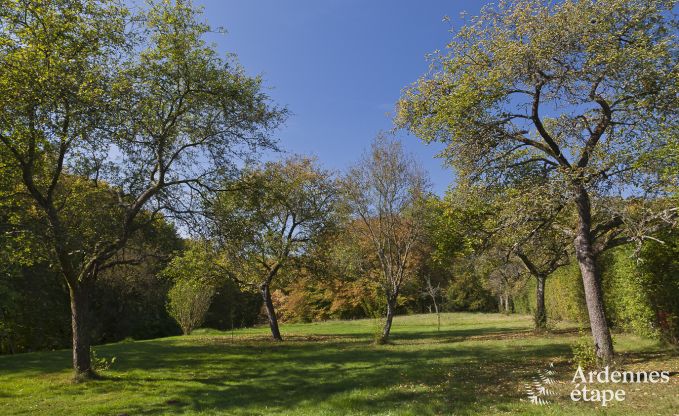 Cottage in Fala�n voor 13 personen in de Ardennen