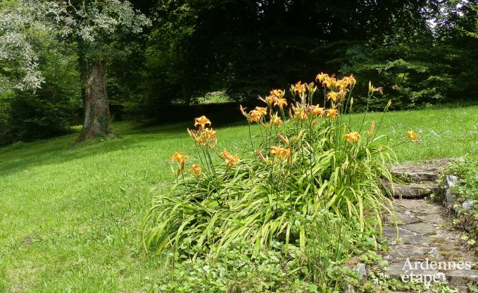 Cottage in Fala�n voor 13 personen in de Ardennen