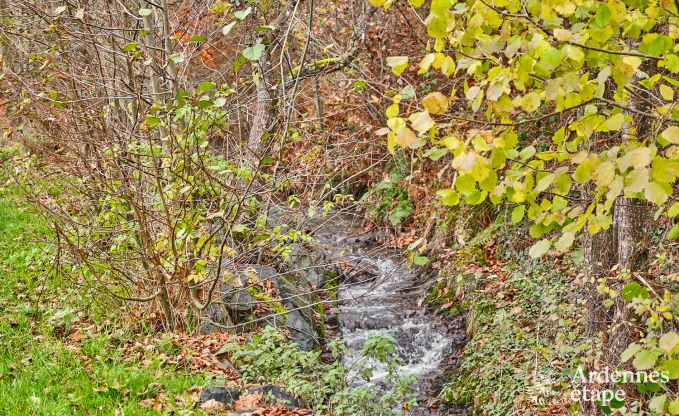 Prachtig vakantiehuis, omringd door de natuur, voor 10 personen in Fauvillers