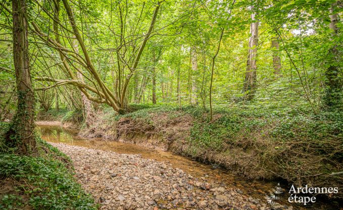 Vakantiehuis in Fernelmont voor 2/4 personen in de Ardennen