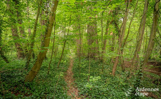 Vakantiehuis in Fernelmont voor 2/4 personen in de Ardennen