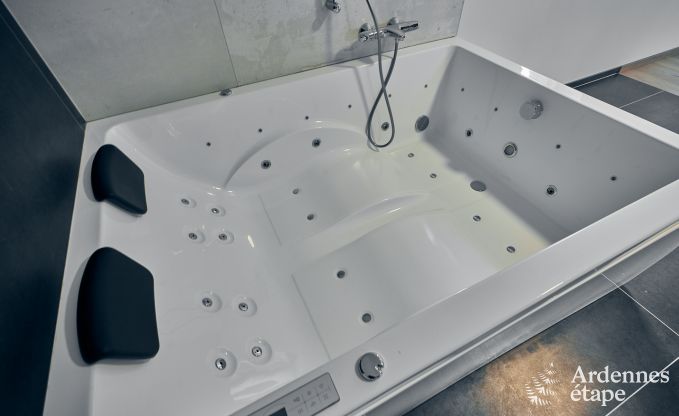 Luxe villa in Ferri�res Ardennen, 15 personen, 7 slaapkamers, spa, verwarmd zwembad, priv� tuin, aangepaste voorzieningen