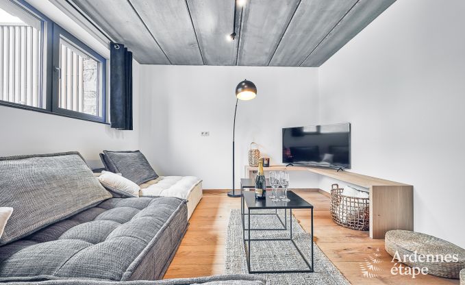 Luxe villa in Ferri�res Ardennen, 15 personen, 7 slaapkamers, spa, verwarmd zwembad, priv� tuin, aangepaste voorzieningen