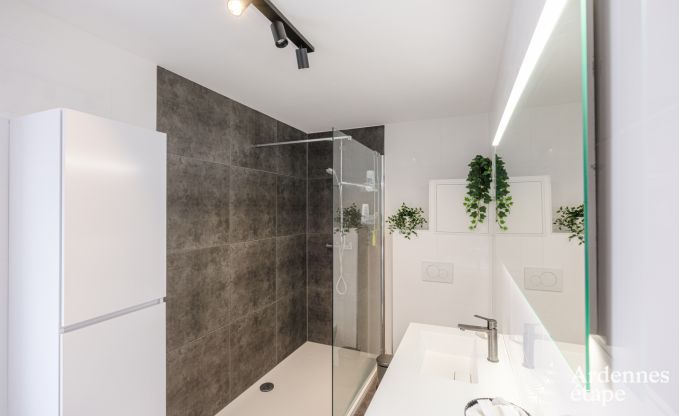 Charmante vakantiewoning in Ferri�res voor 8 personen