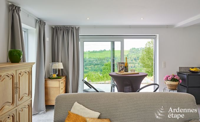 Moderne vakantiewoning met 5 slaapkamers in Ferri�res, Ardennen