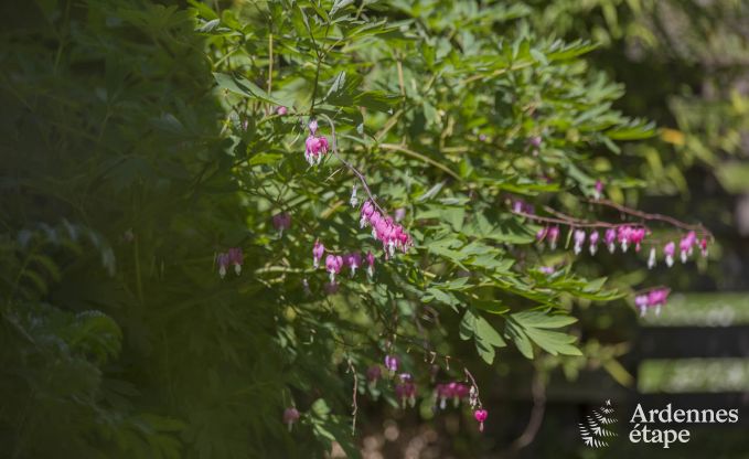 Vakantiehuis in Ferrires voor 2 personen in de Ardennen