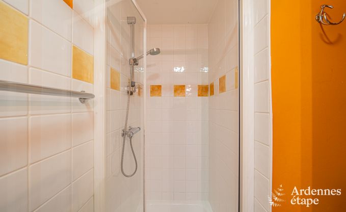 Ruim vakantiehuis voor 32 personen in Ferri�res met 12 slaapkamers, sauna, jacuzzi en speelvoorzieningen